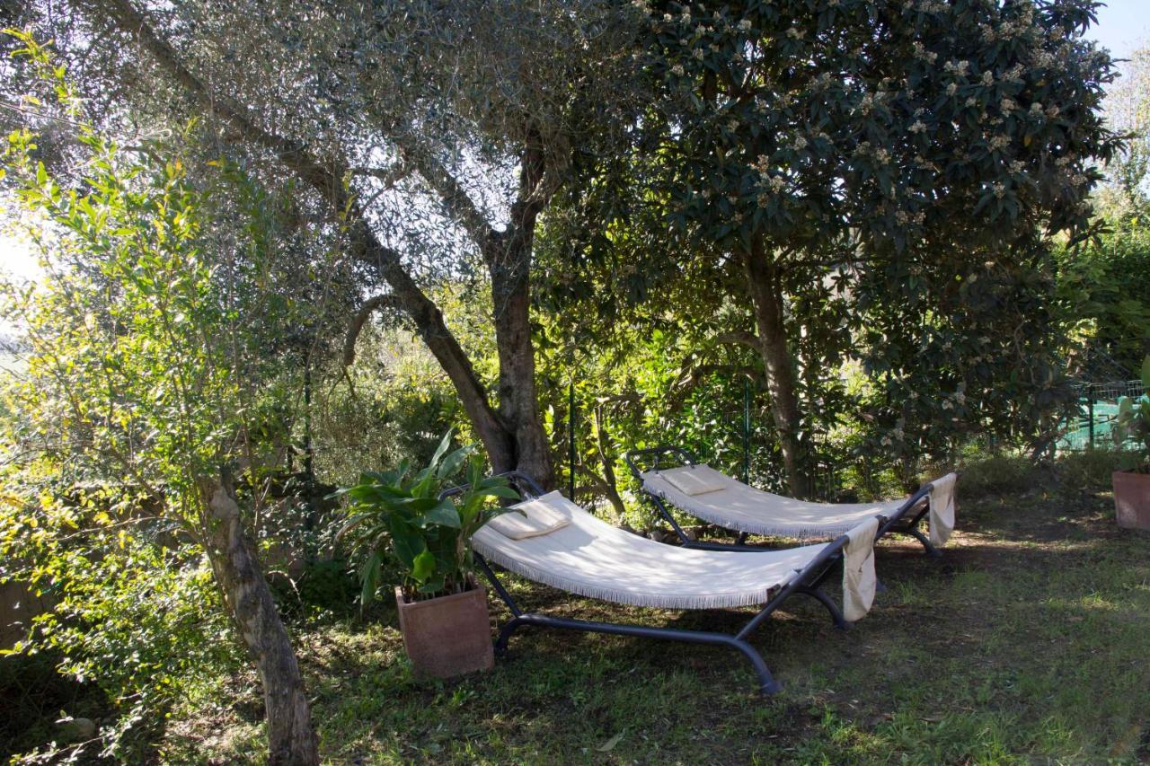 Bed and Breakfast Casale San Pietro Otricoli Exteriér fotografie
